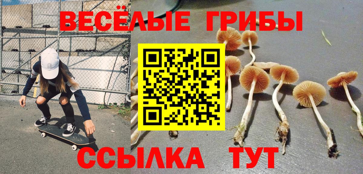 Сергиев Посад  Псилоцибиновые грибы Magic Shrooms  Вход с VPN 